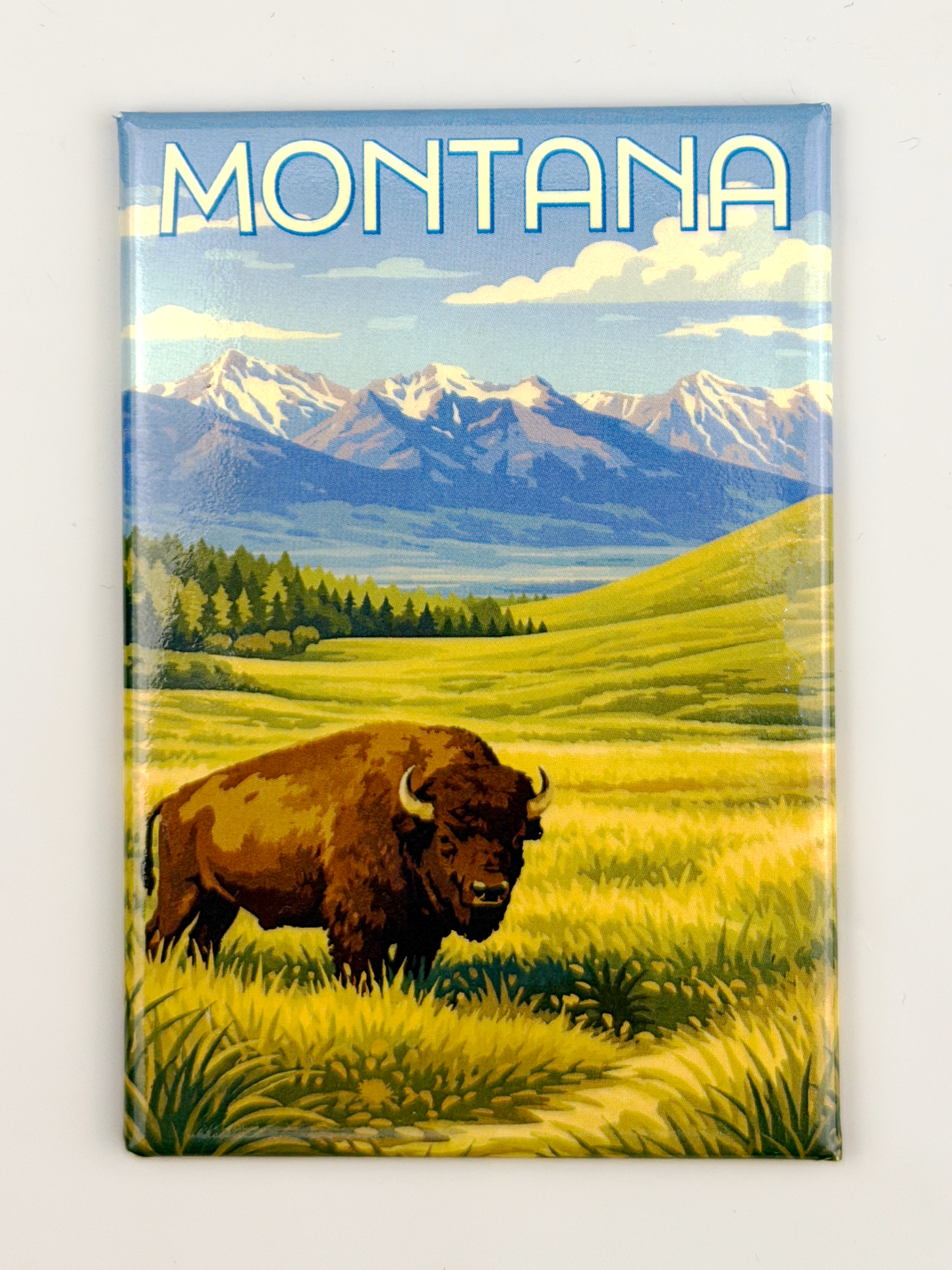 Montana 3" x 2" Bison Magnet