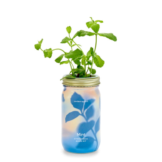 New Herb Garden Jar-Mint