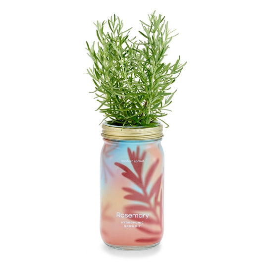 New Herb Garden Jar-Rosemary
