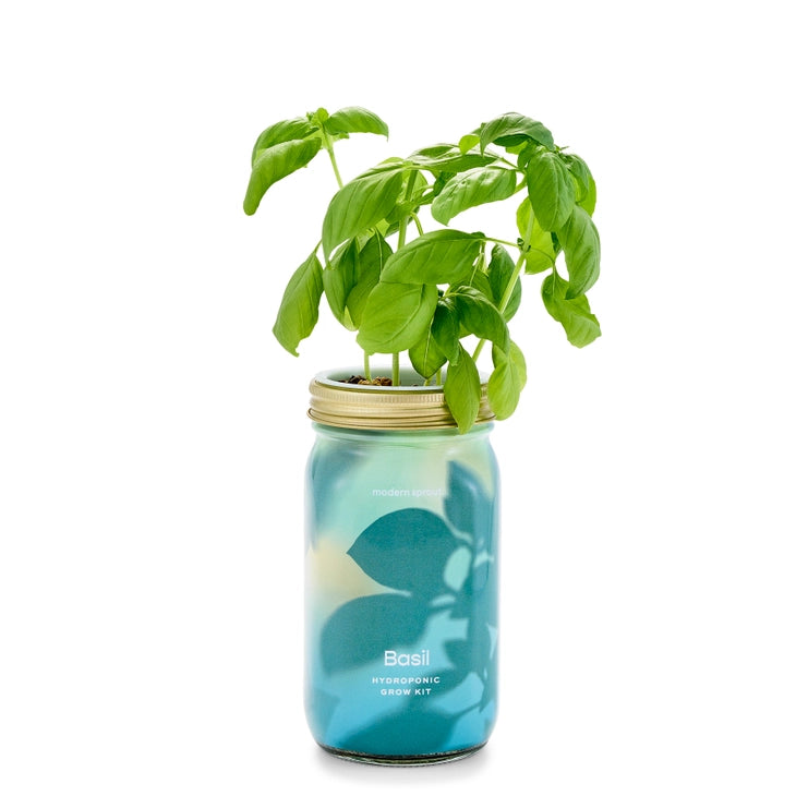 New Herb Garden Jar-Basil