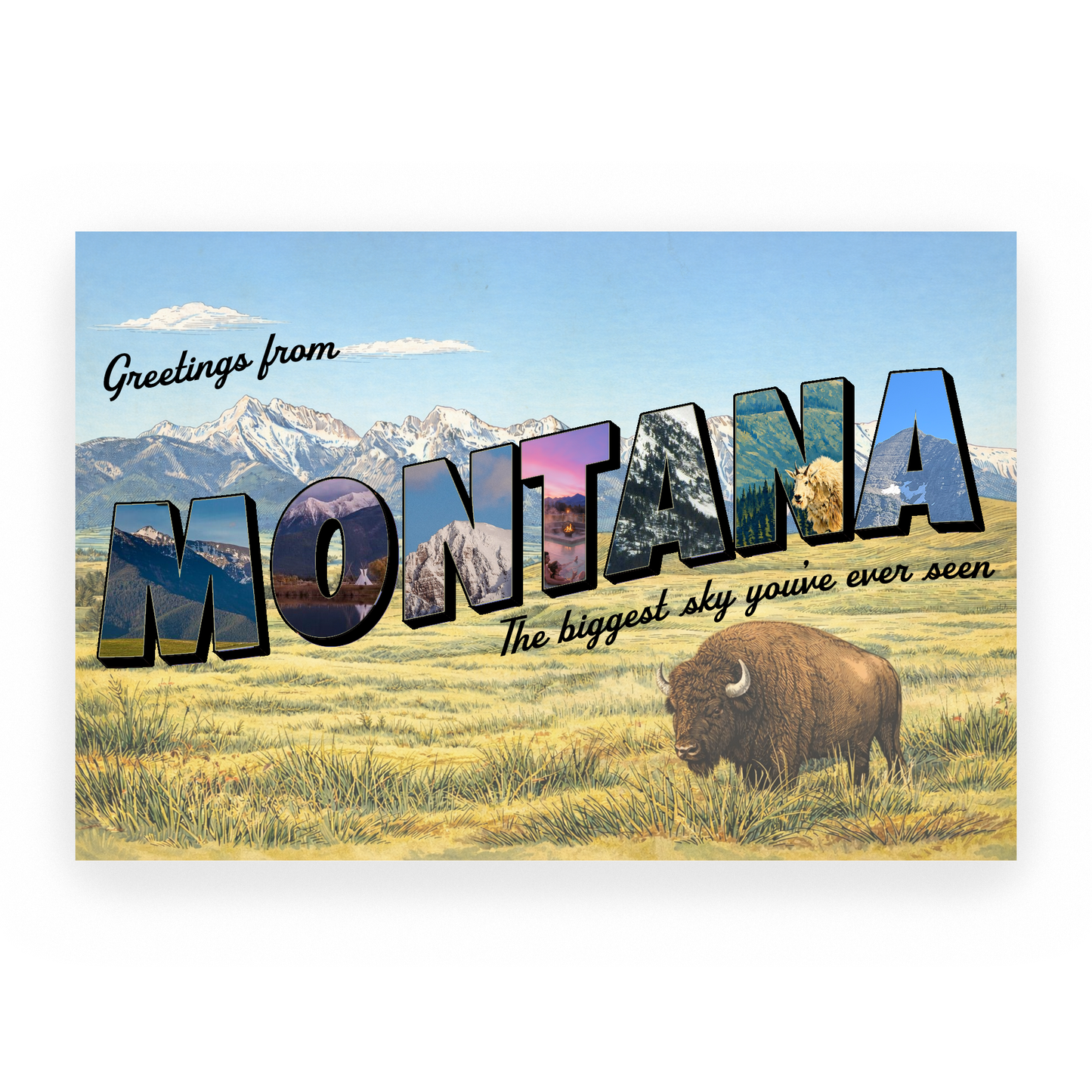 Montana: The Biggest Sky You've Ever Seen Bison Postcard