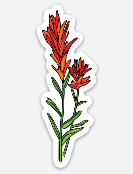 Indian Paintbrush Sticker