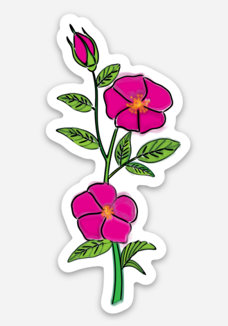 Wild Rose Sticker