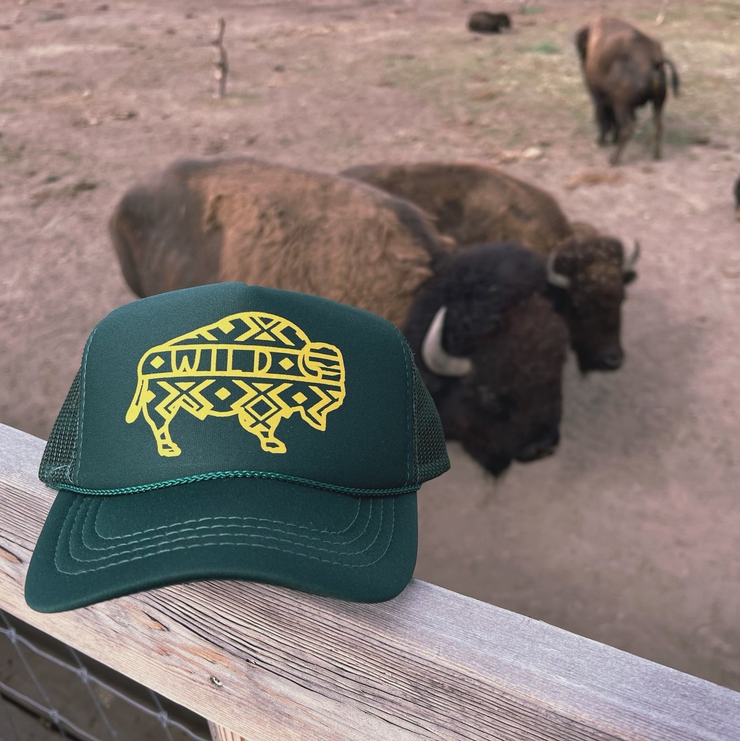 Kids Wild Buffalo Trucker Hat