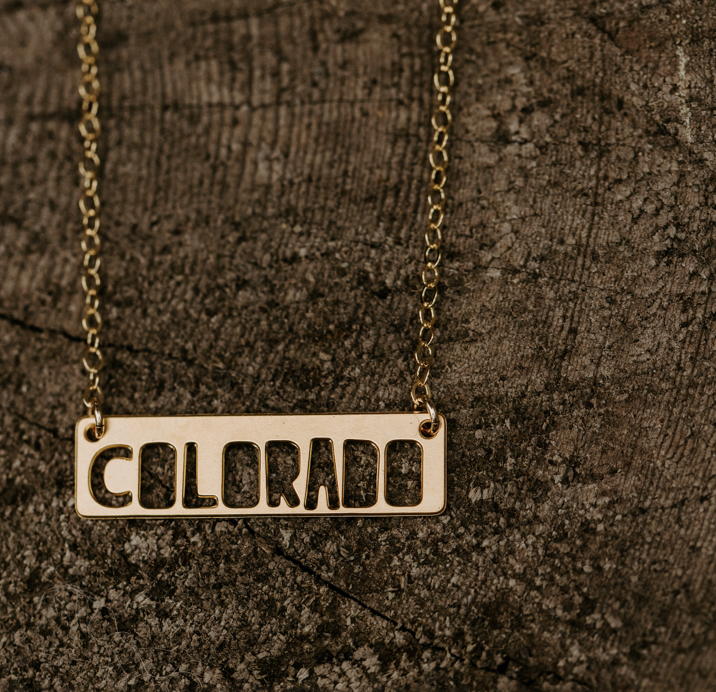 Colorado Bar Necklace