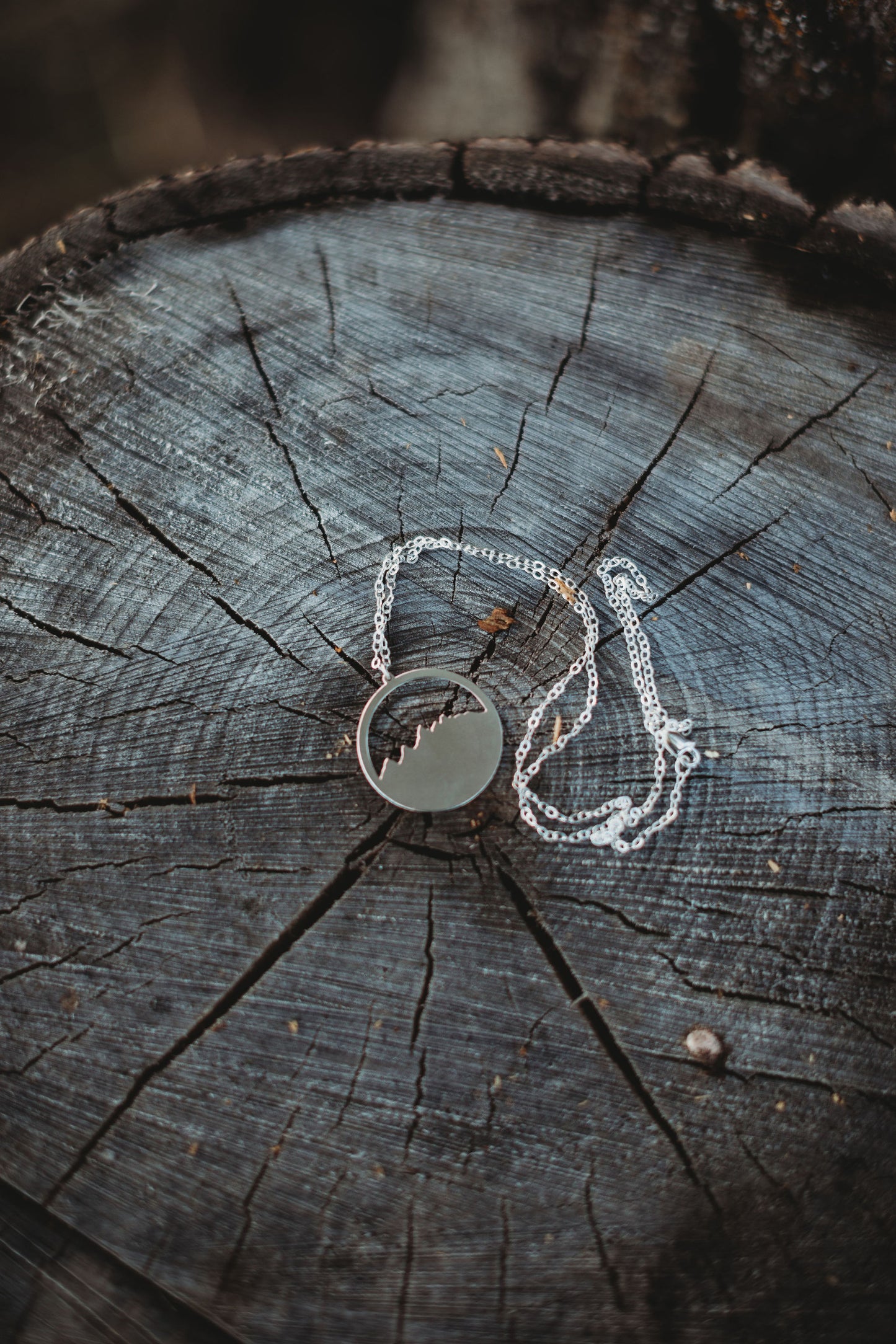 Circle Teton Necklace