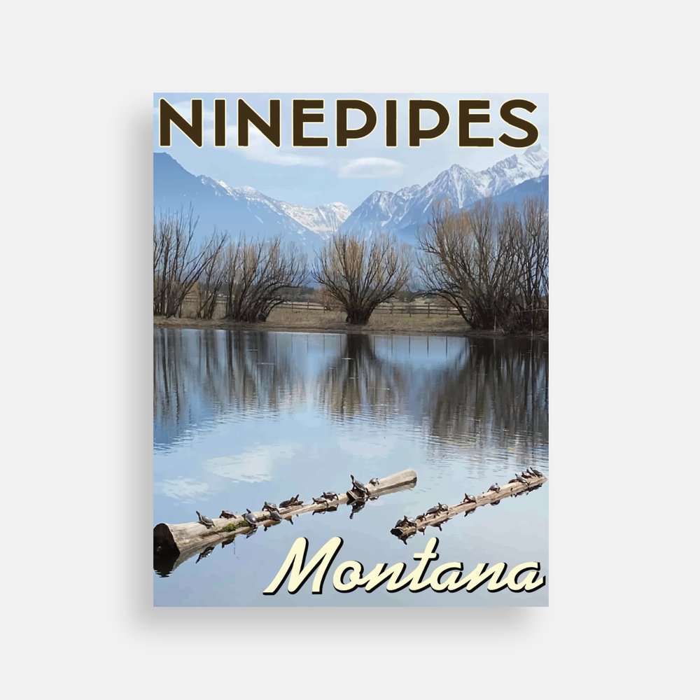 Ninepipes Turtle Montana Postcard